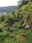 2019-07-27 - 12-06-17 - fränkische schweiz